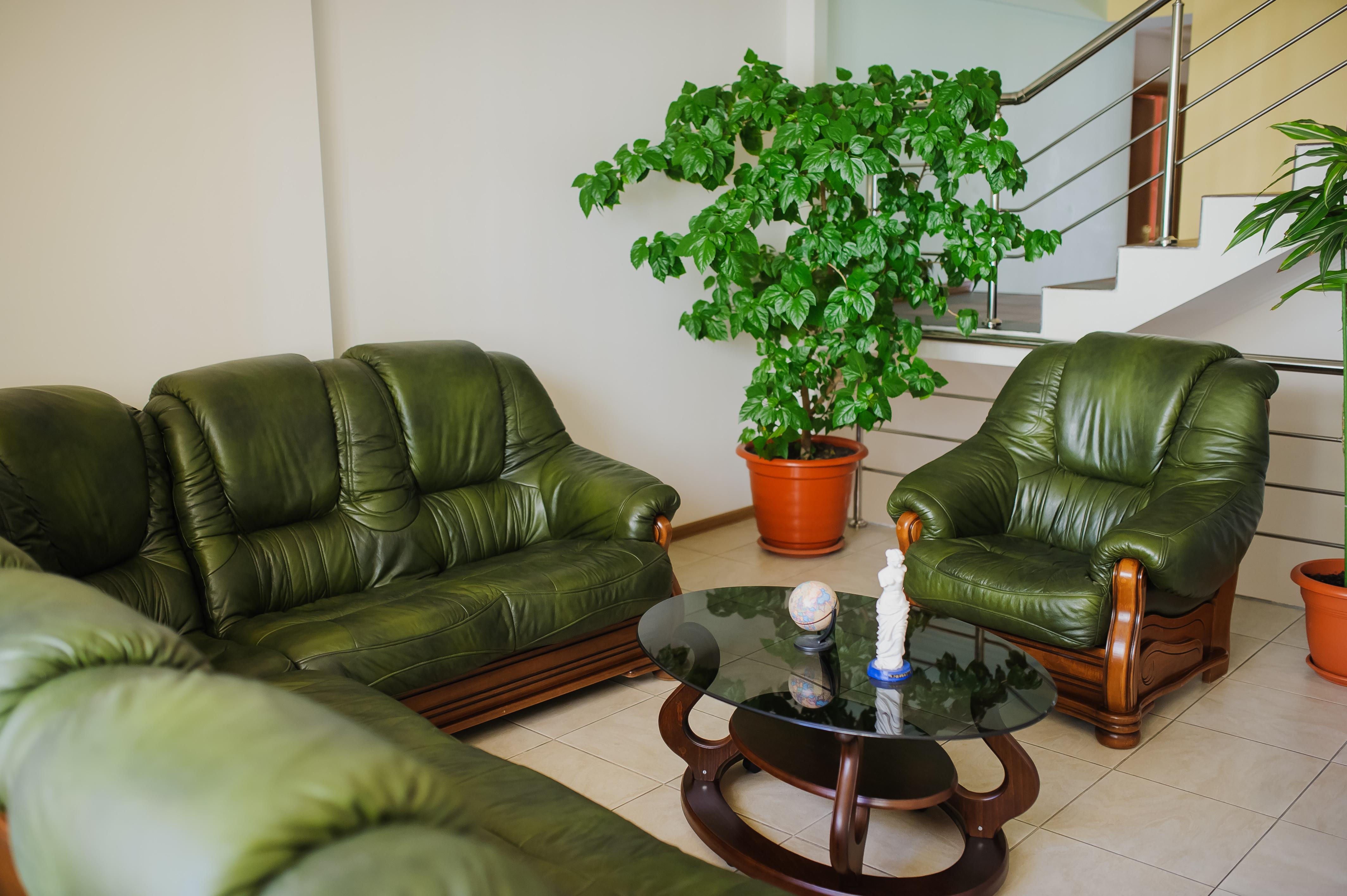 Villa Arus Kişinev Dış mekan fotoğraf